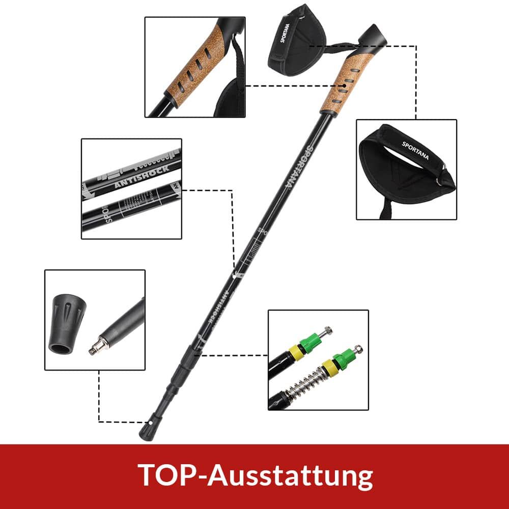 Nordic Walking Stöcke Grau