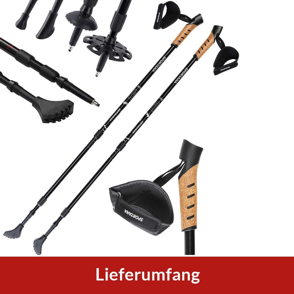 Nordic Walking Stöcke Grau