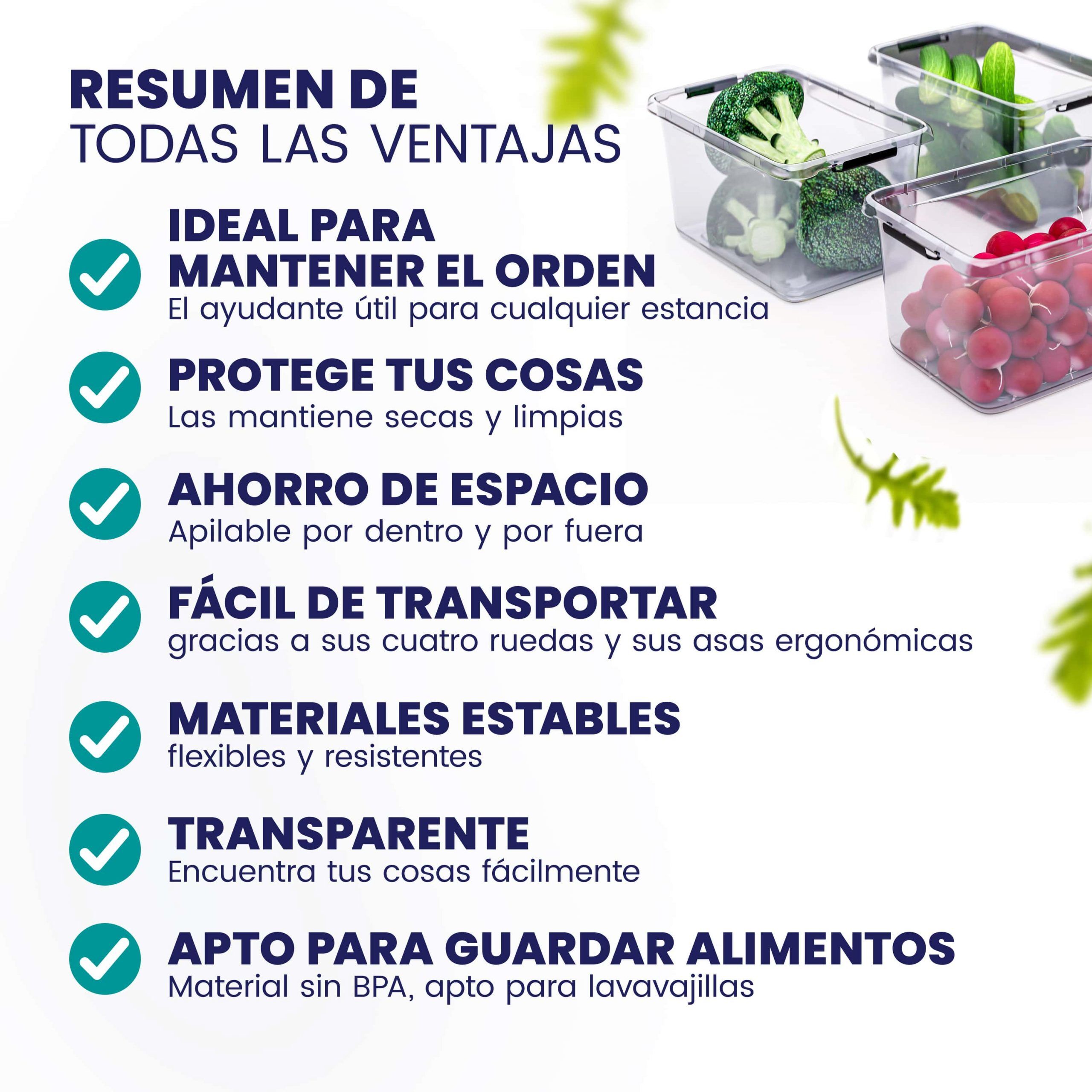 Aufbewahrungsbox 30x20x12cm 5L transparent stapelbar BPA-frei