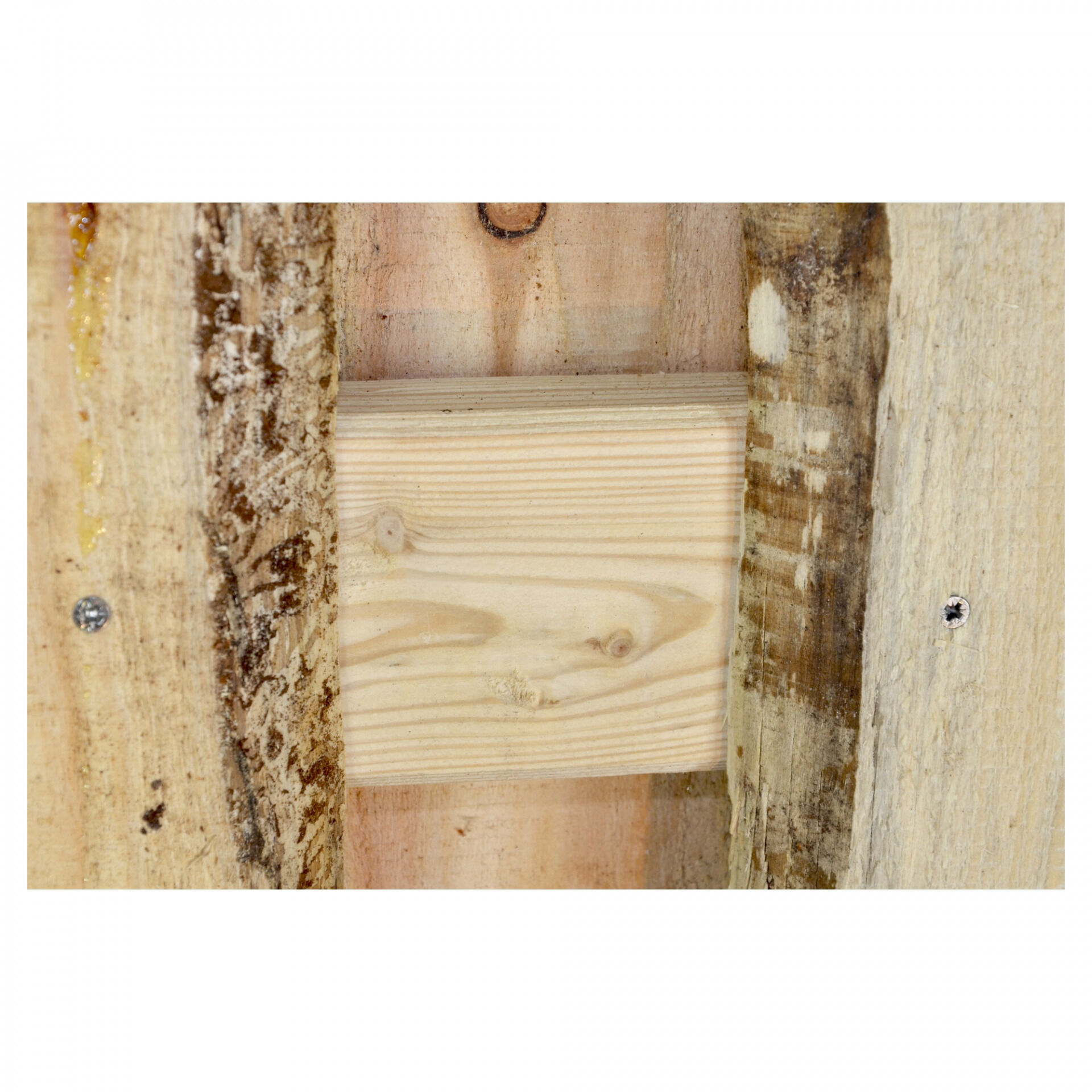 JÜTLAND-Serie Lärche, 180 x 180 cm, Riegel 30/80 mm, Bretter sägerau ca. 20mm mit Baumkante