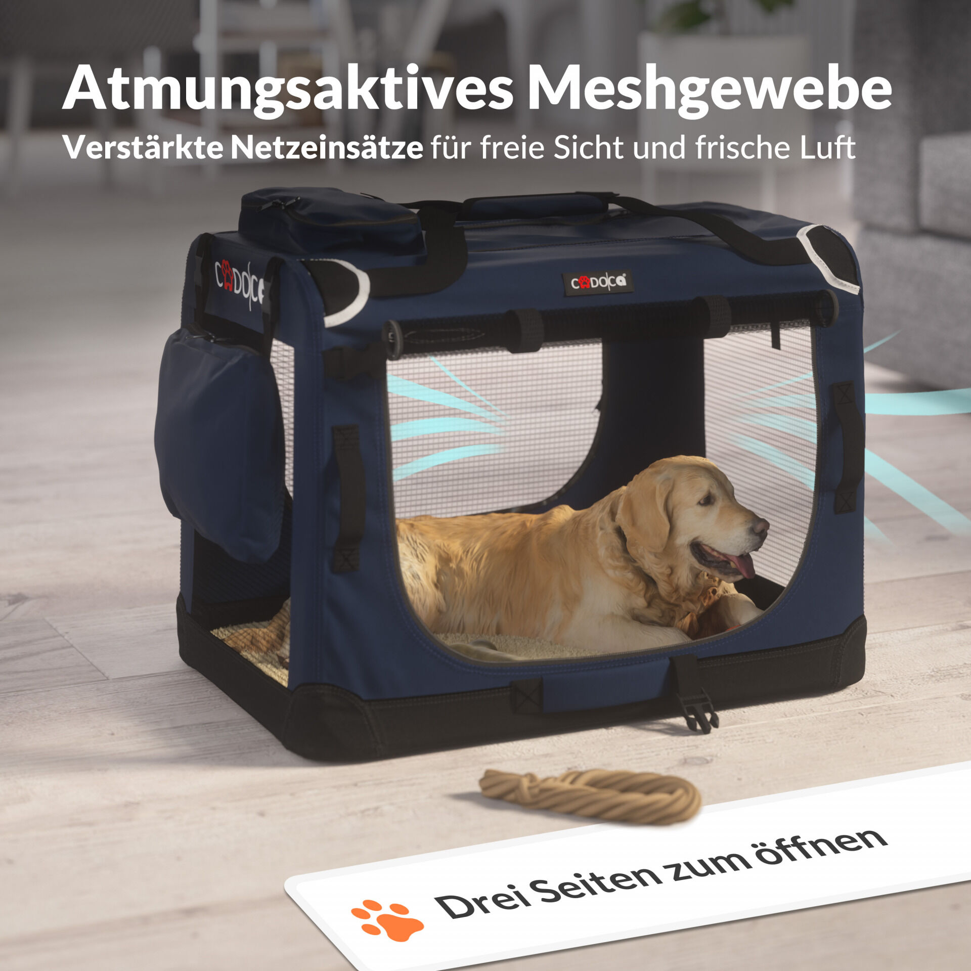 Hundebox faltbar M 60x42x44cm Blau