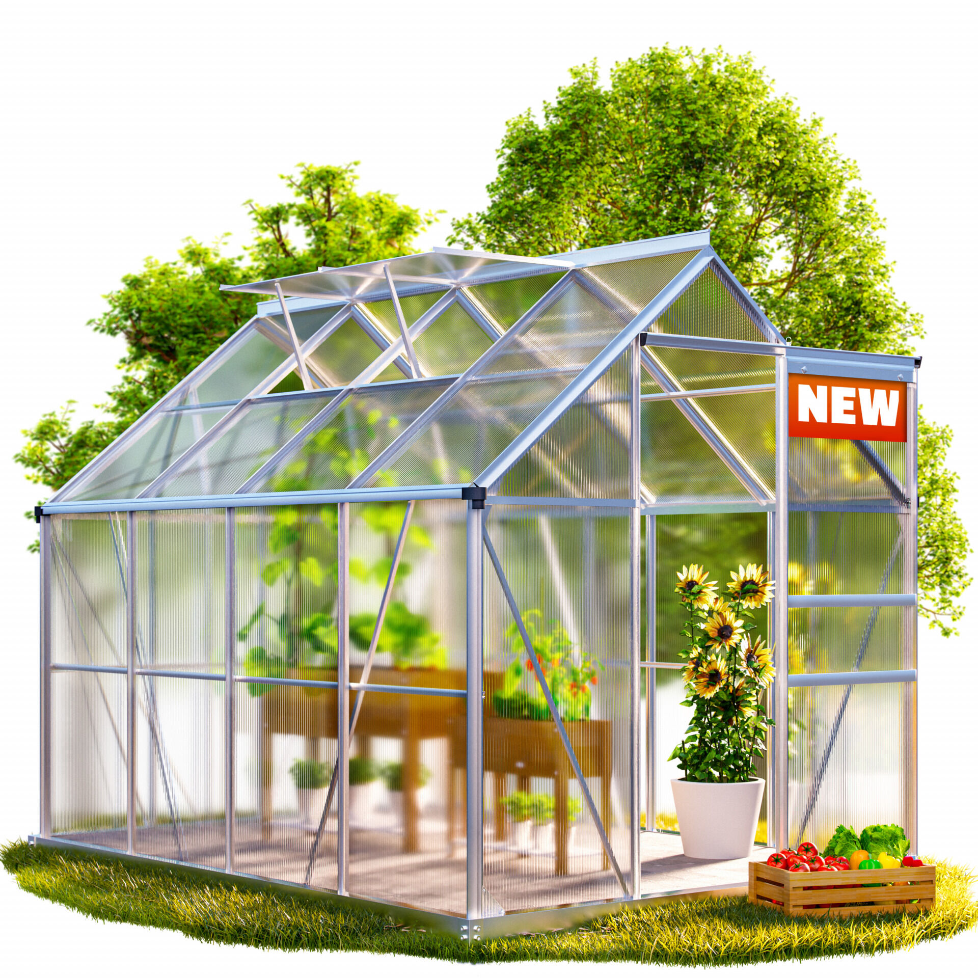 Alu Gewächshaus 250x190x195cm mit Fundament