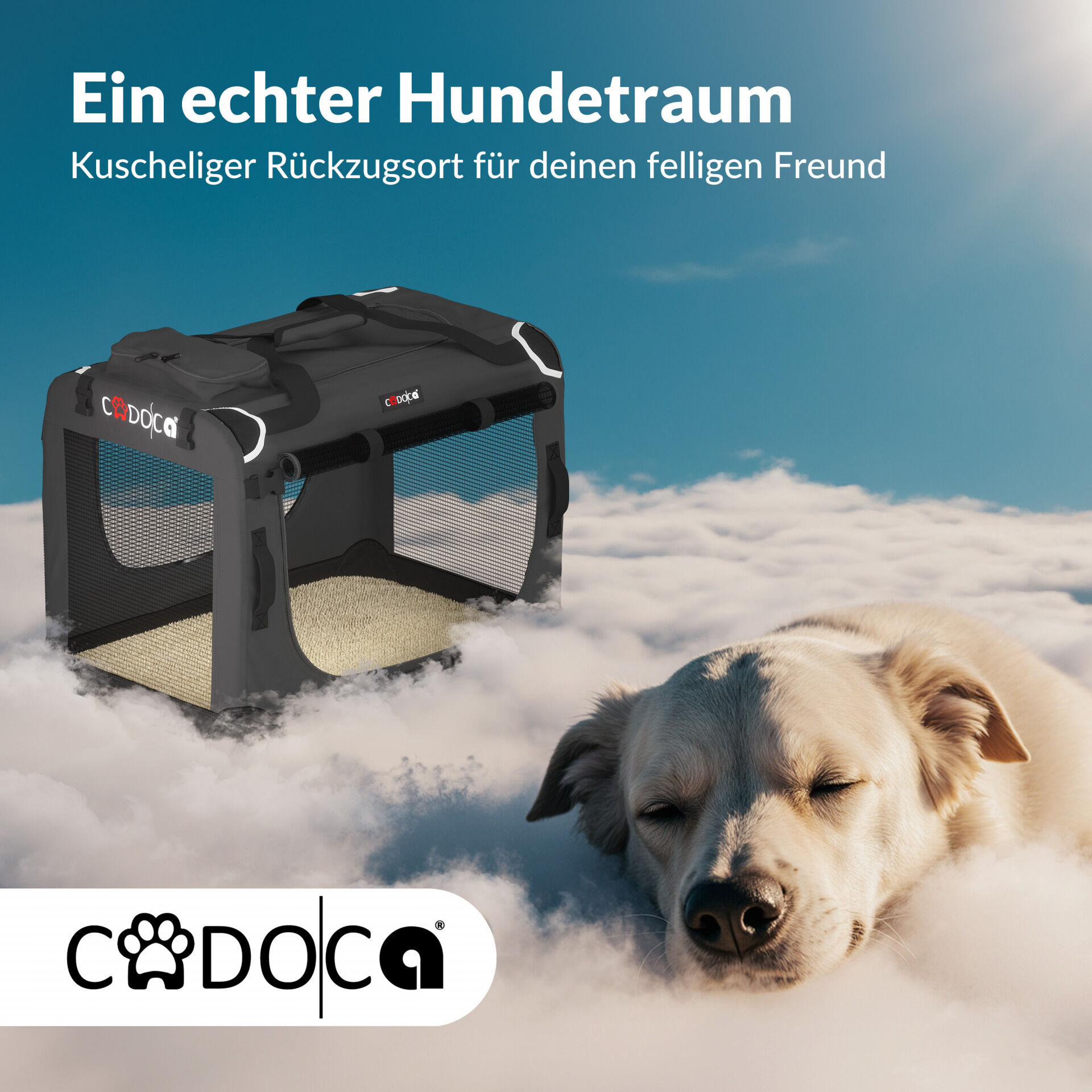 Hundebox faltbar M 60x42x44cm Anthrazit