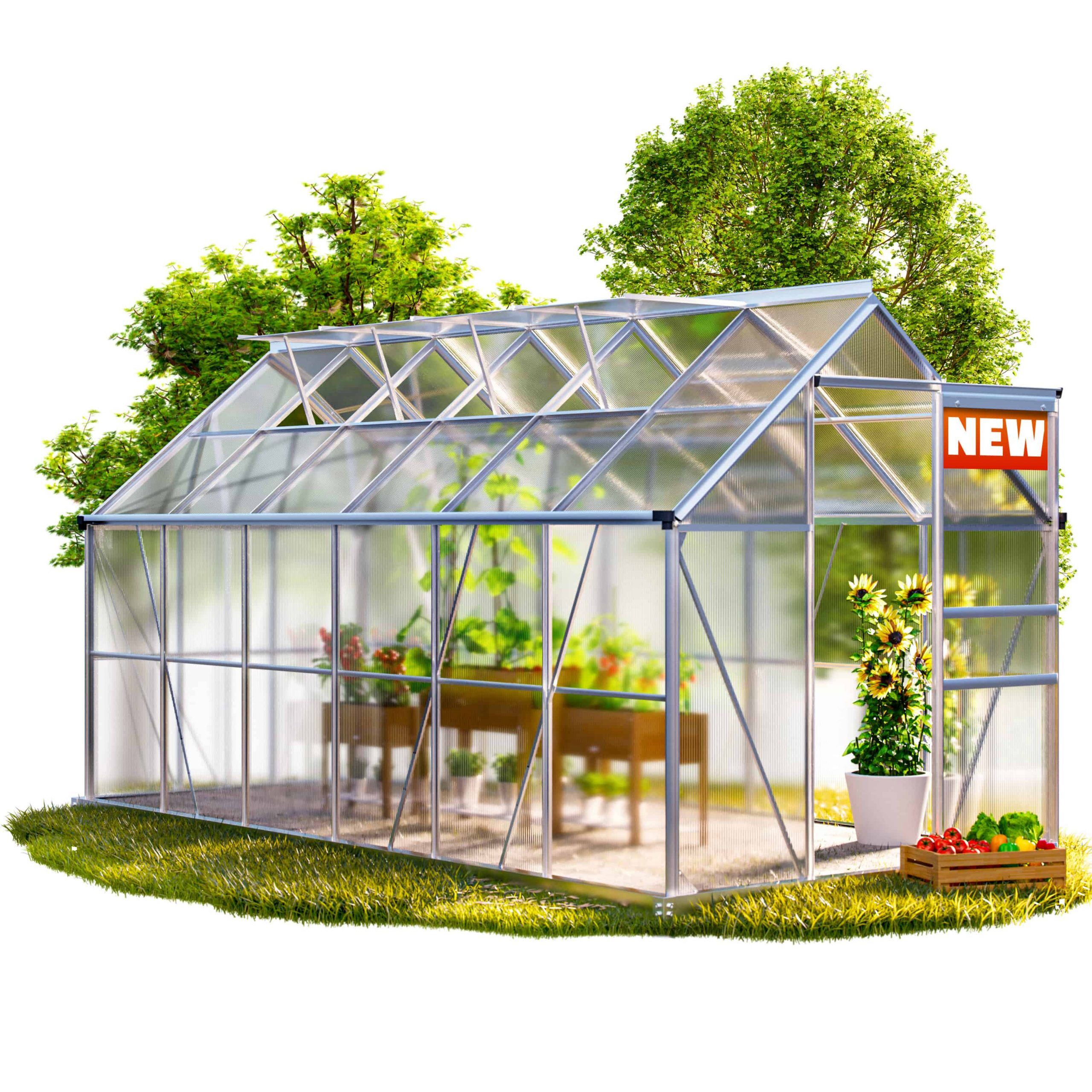 Alu Gewächshaus 380x190x195cm mit Fundament