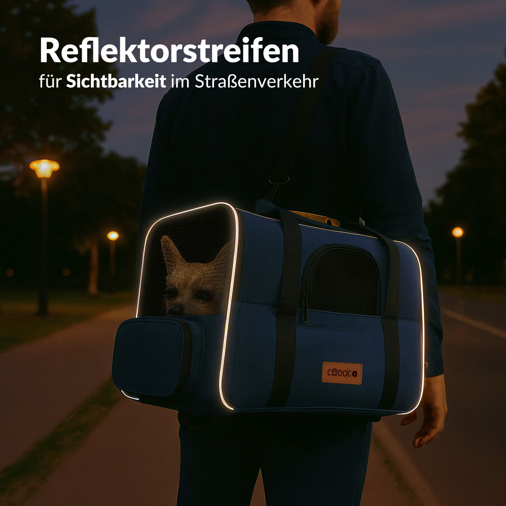 Katzentransportbox Blau 44x34x31cm bis 20kg