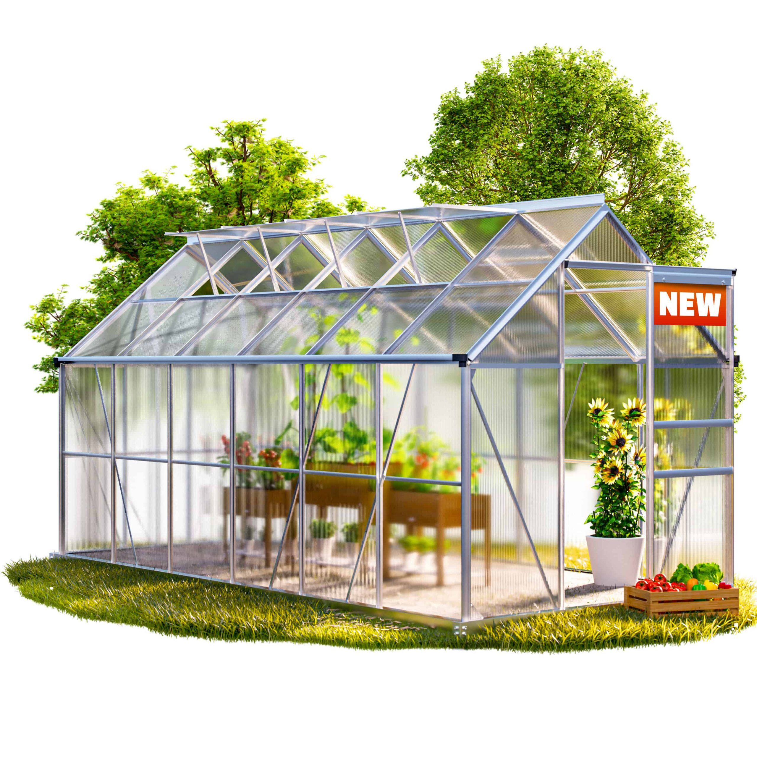Alu Gewächshaus 380x190x195cm mit Fundament