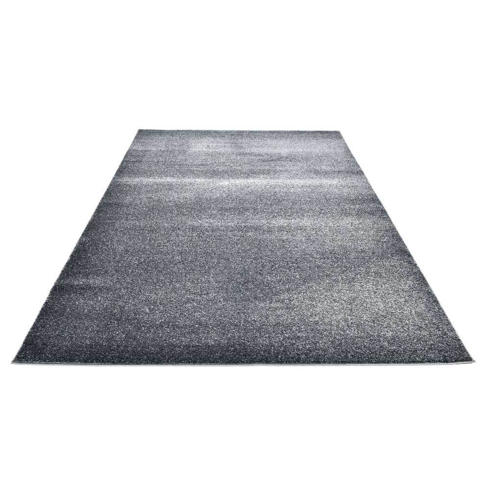 Kurzflor Teppich FOFI - 300 x 200 cm Grau