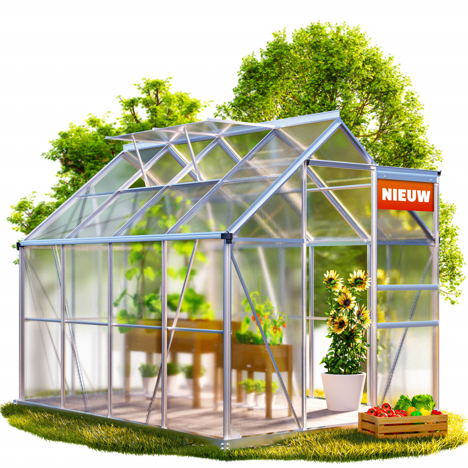 Alu Gewächshaus 250x190x195cm mit Fundament