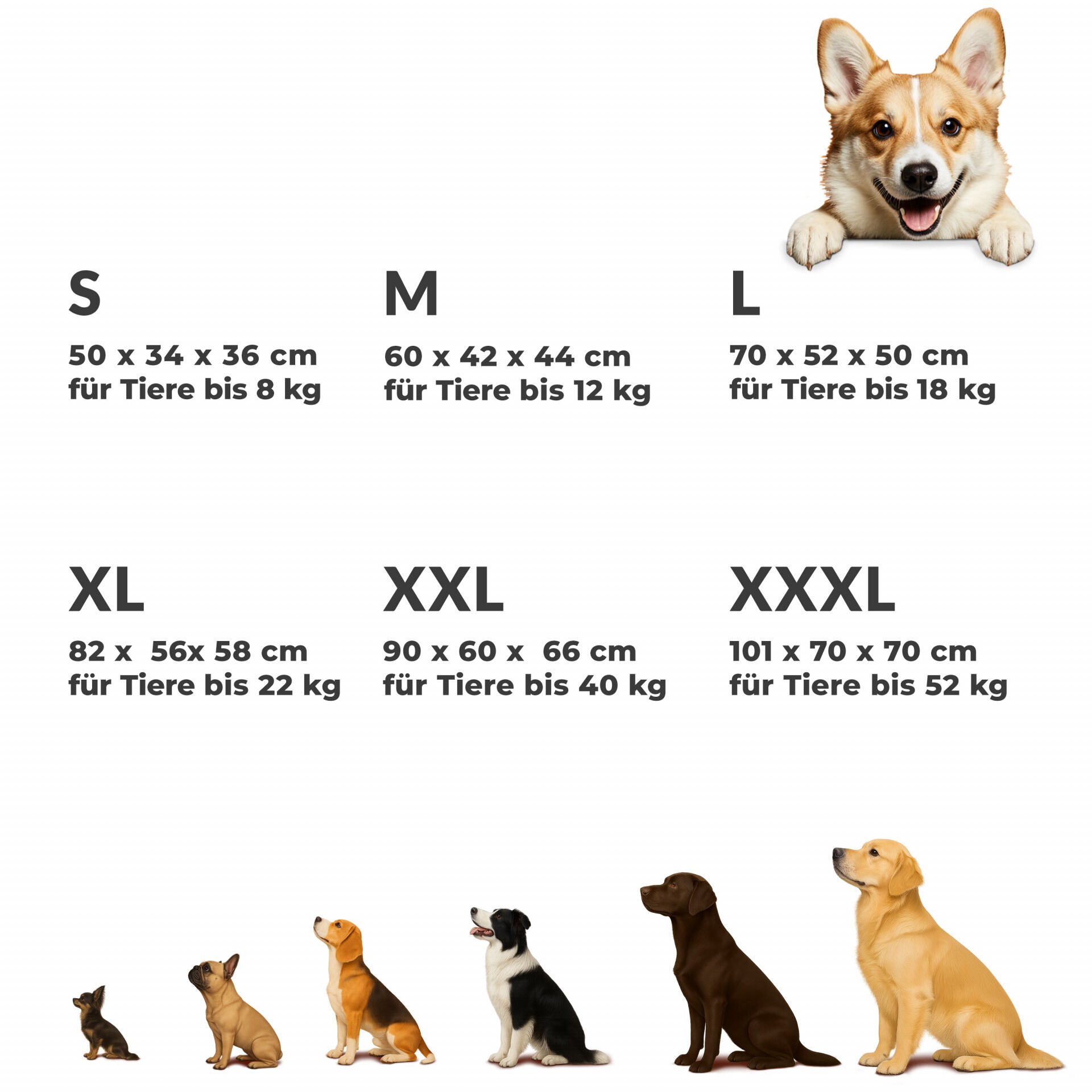 Hundebox faltbar XXXL 101x70x70cm Blau