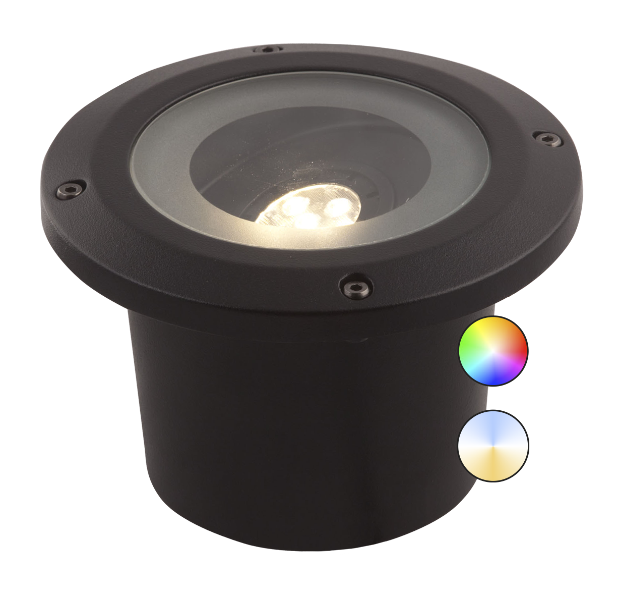 313751 Rubum Plus (SMART)