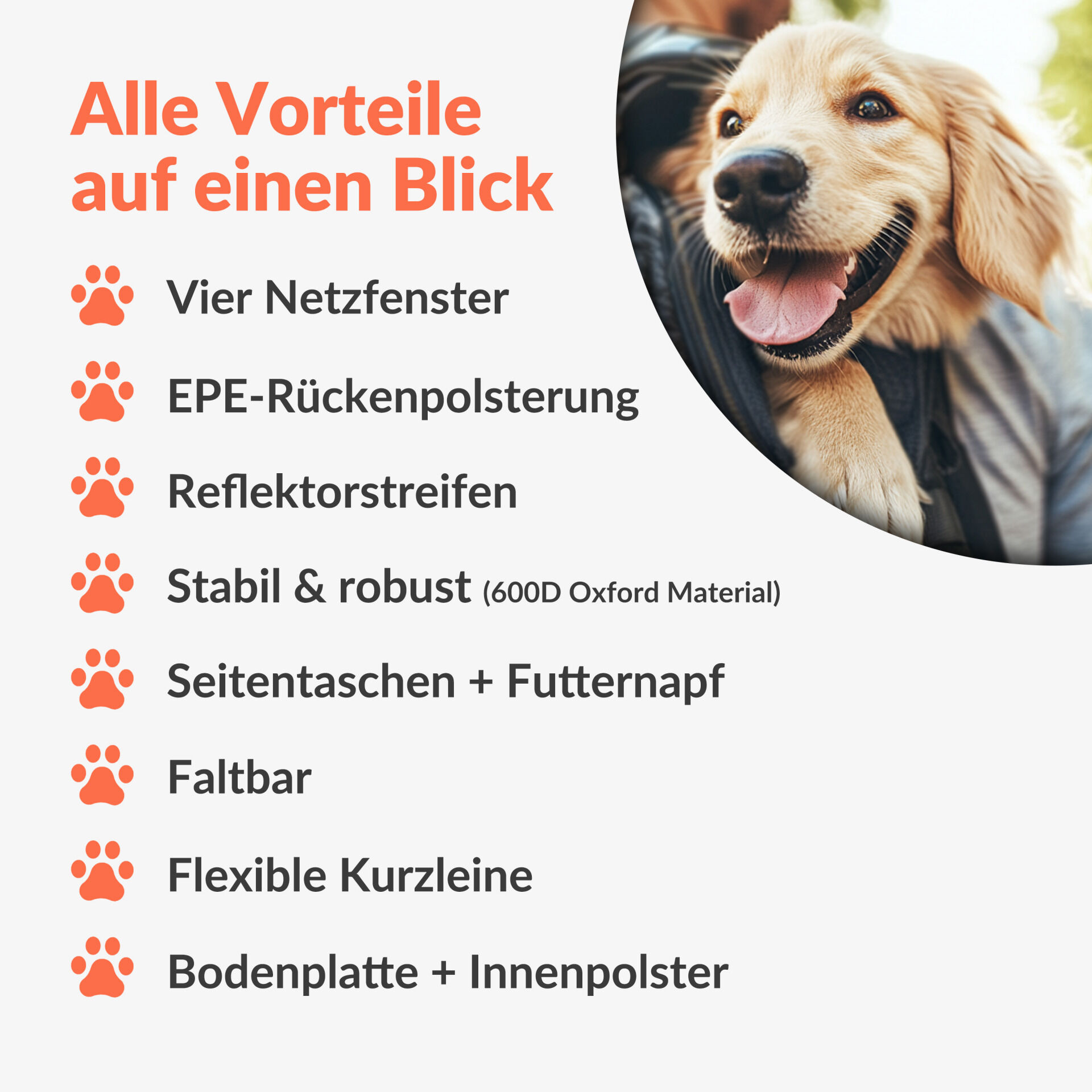 Katzenrucksack Grau 41x30x34cm