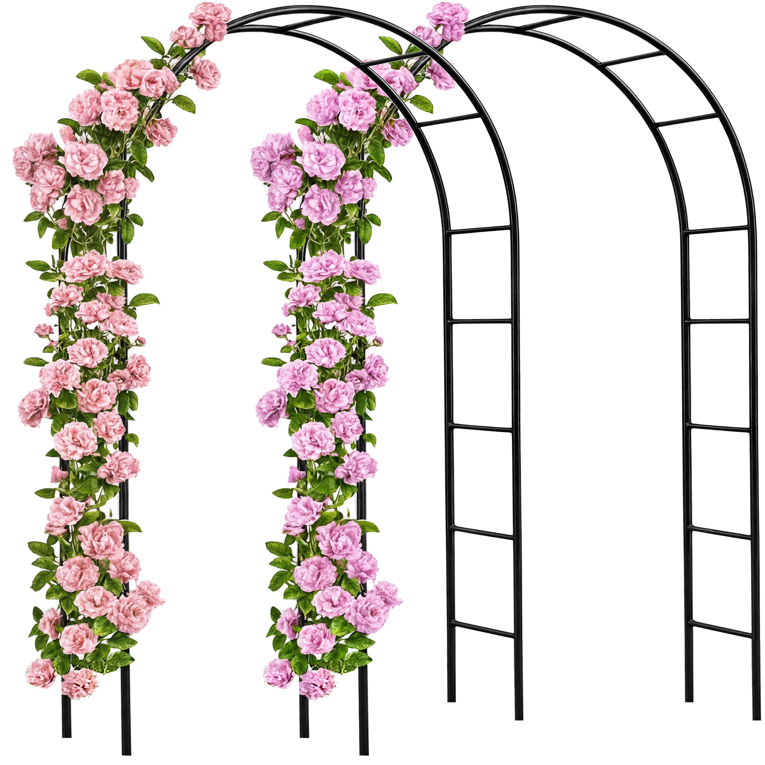 Rosenbogen 2er-Set Schwarz 240x37x140cm