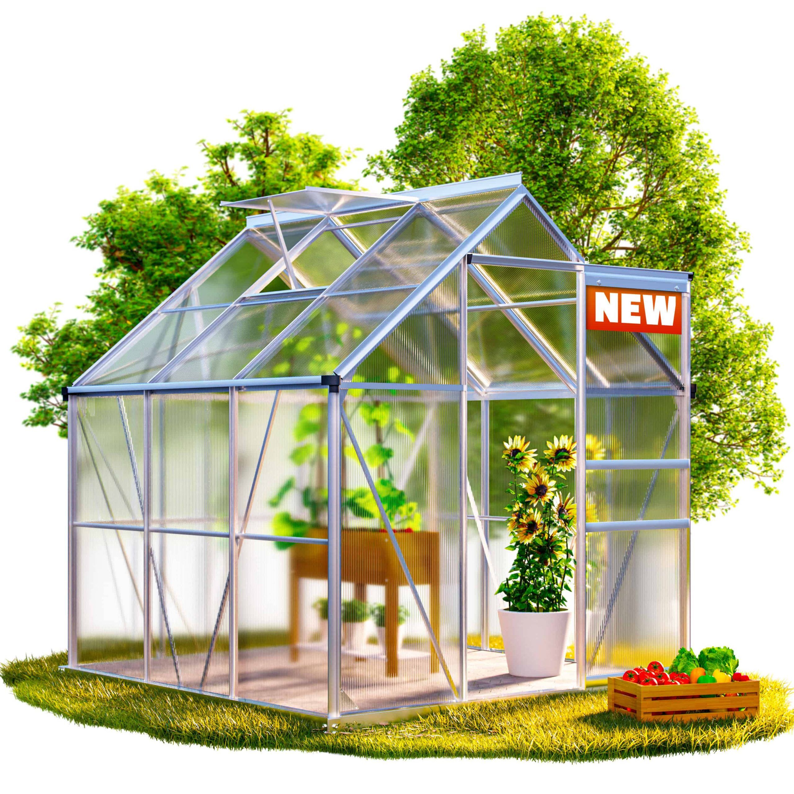 Alu Gewächshaus 190x190x195cm mit Fundament