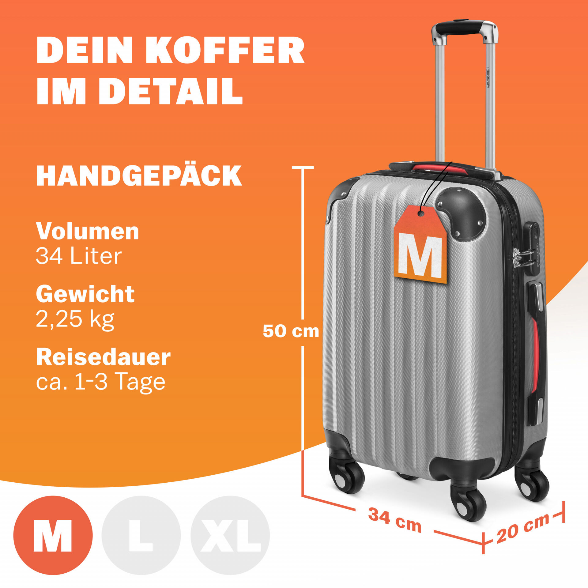 Hartschalenkoffer Rollen 360º Handgepäck Silber ABS