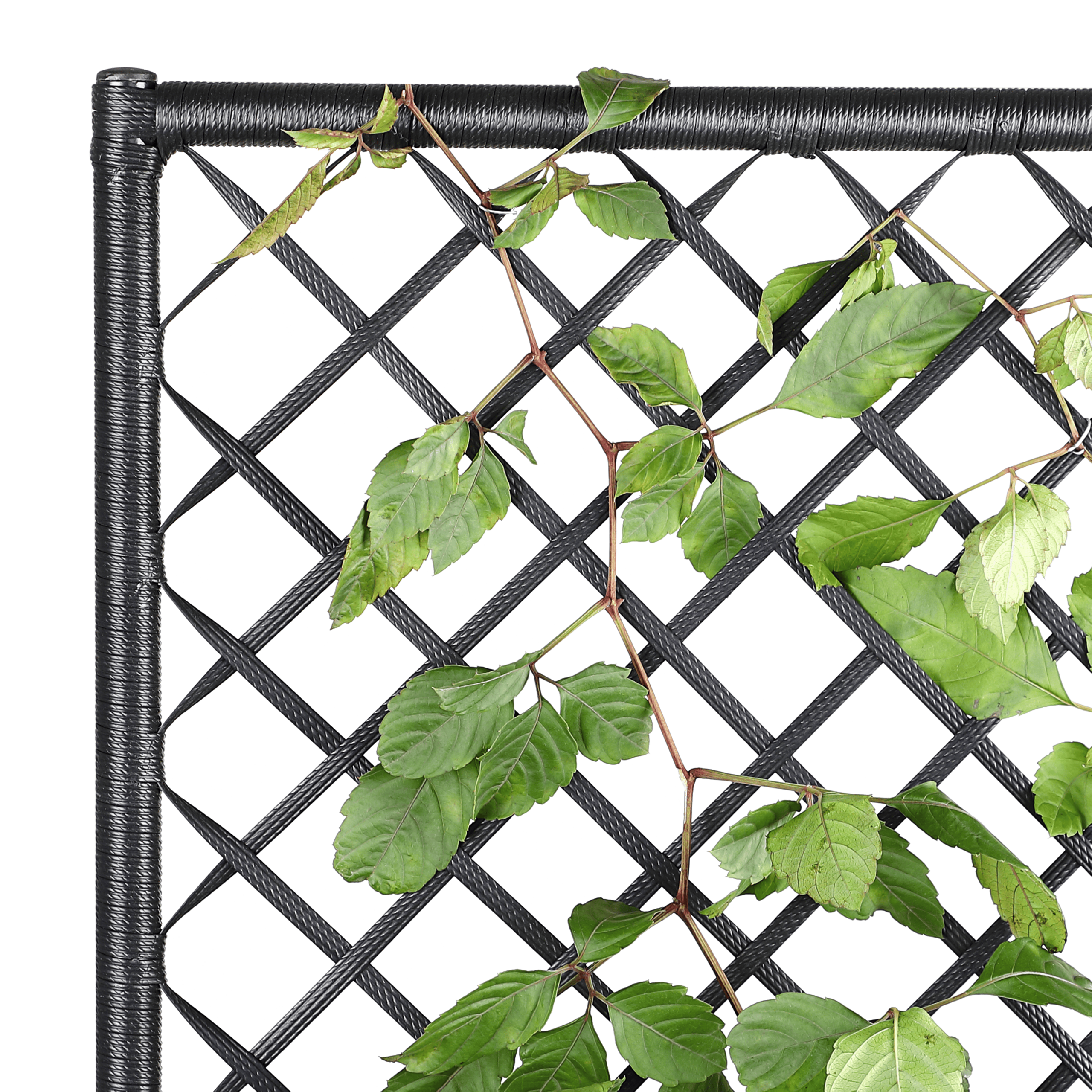 Polyrattan Blumenkasten mit Rankgitter Schwarz