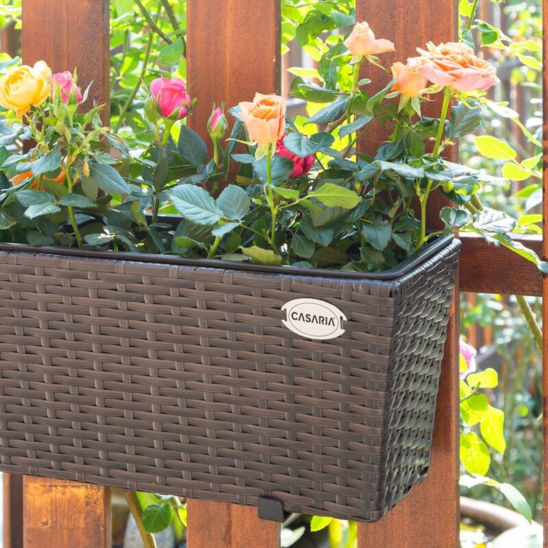 blumenkasten mit rankgitter plastik XL SPALIER HOLZOPTIK (breite Version) Farbe: Anthrazit