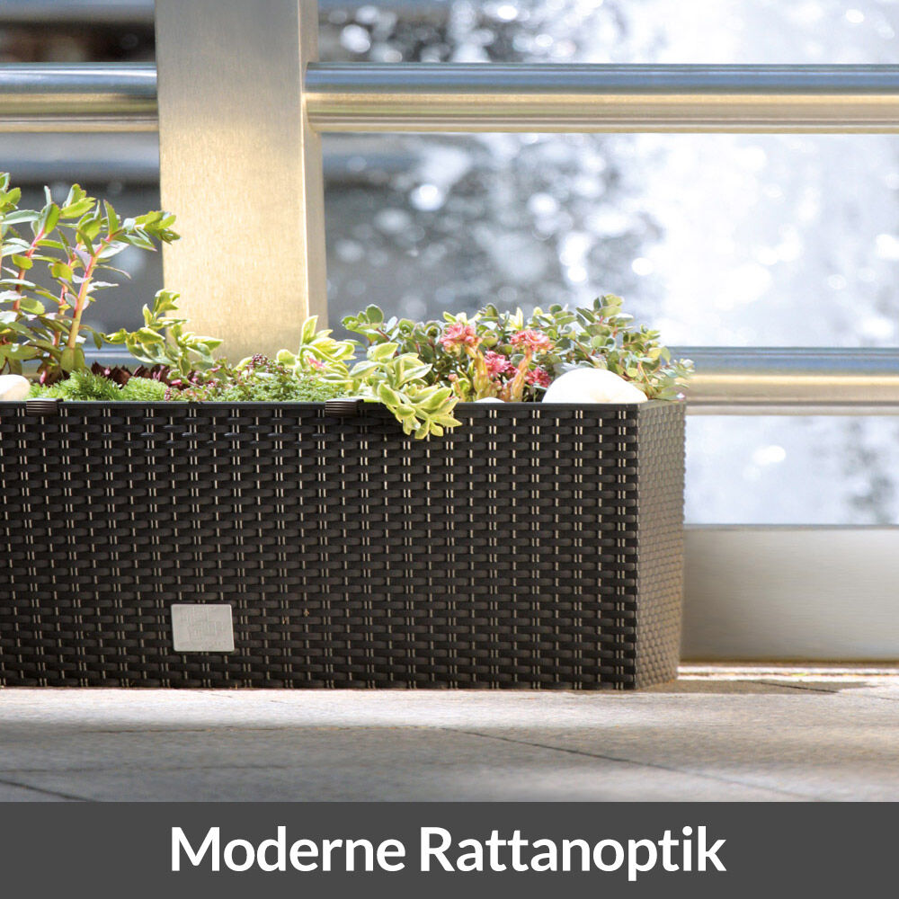 Hochbeet Polyrattanoptik Anthrazit 60x25x46cm Bewässerungssystem