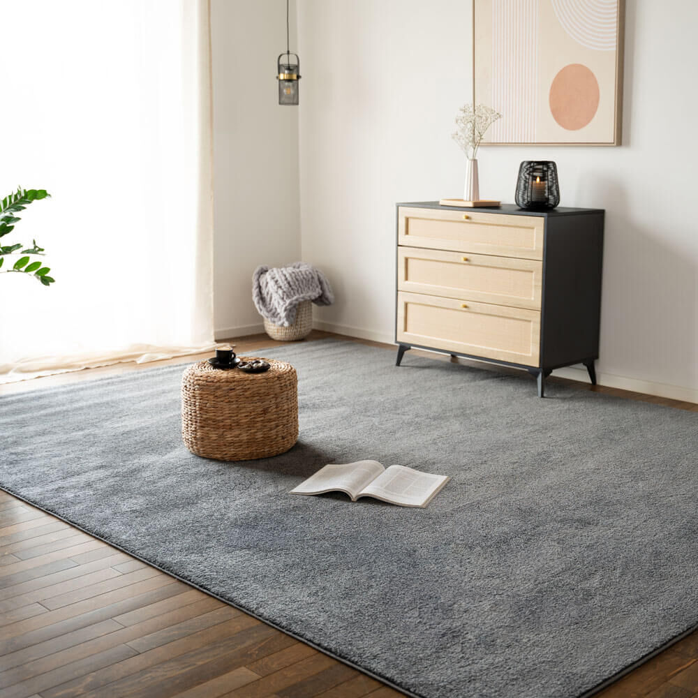 Kurzflor Teppich FOFI - 300 x 200 cm Grau