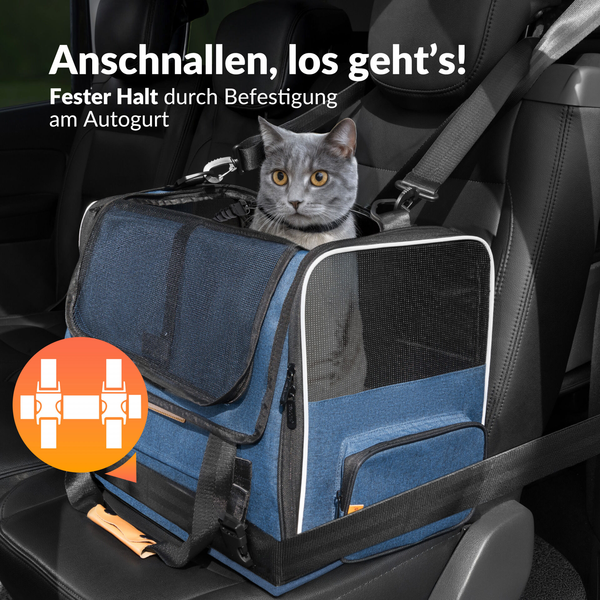 Katzentransportbox Blau 44x34x31cm bis 20kg