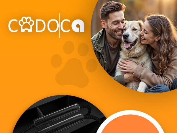 Hunderampe Auto Schwarz 156x40x16cm klappbar