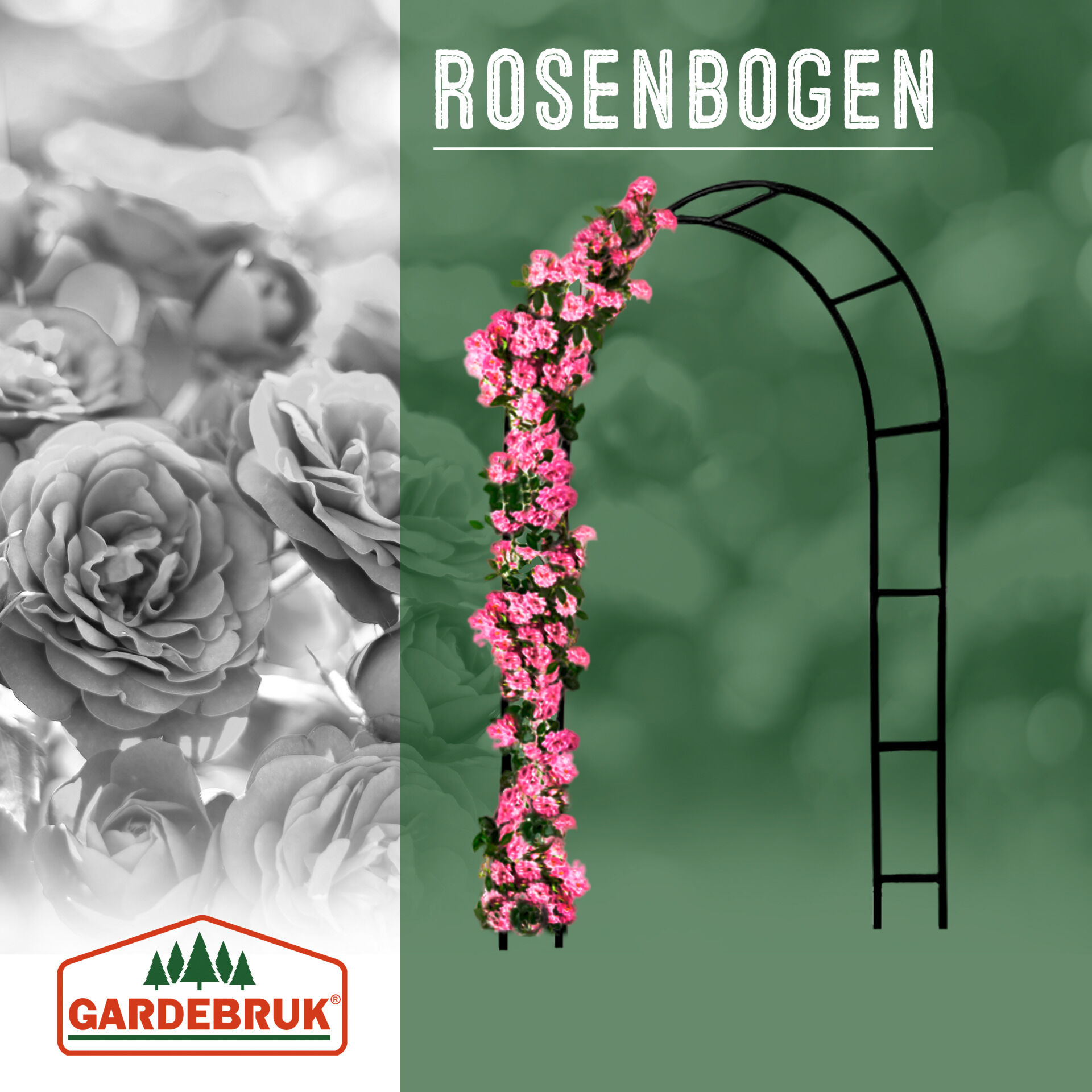Rosenbogen Schwarz 240x140x37cm