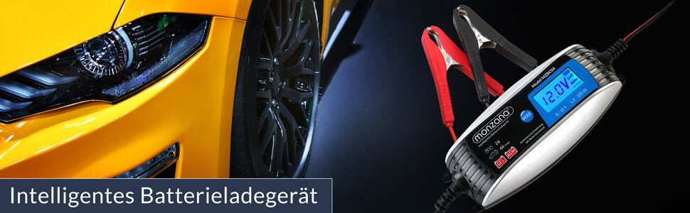 Batterieladegerät 6V 12V