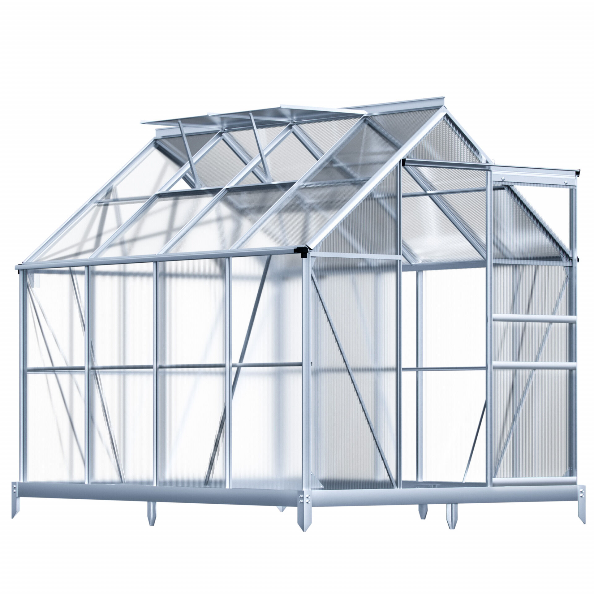 Alu Gewächshaus 250x190x195cm mit Fundament