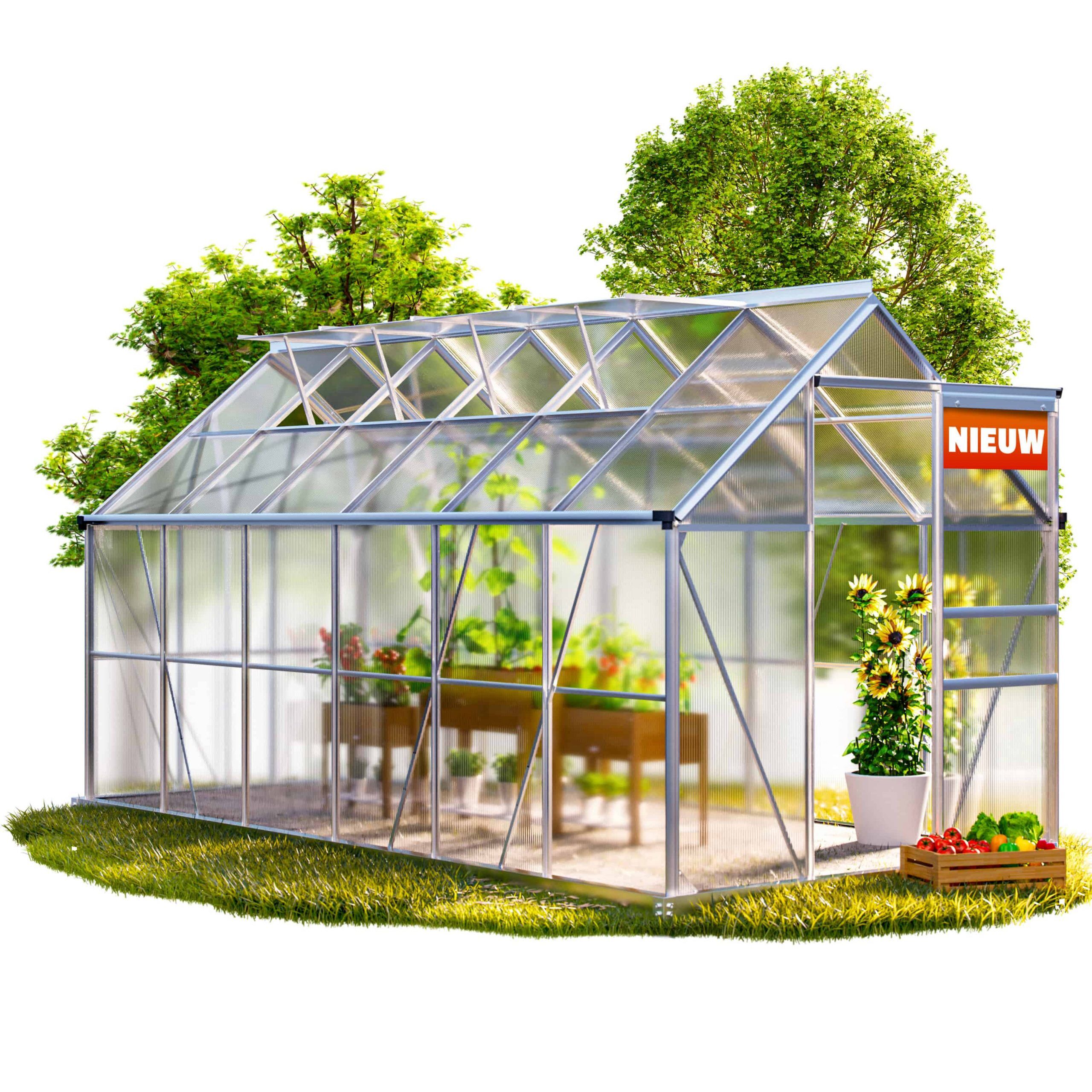 Alu Gewächshaus 380x190x195cm mit Fundament