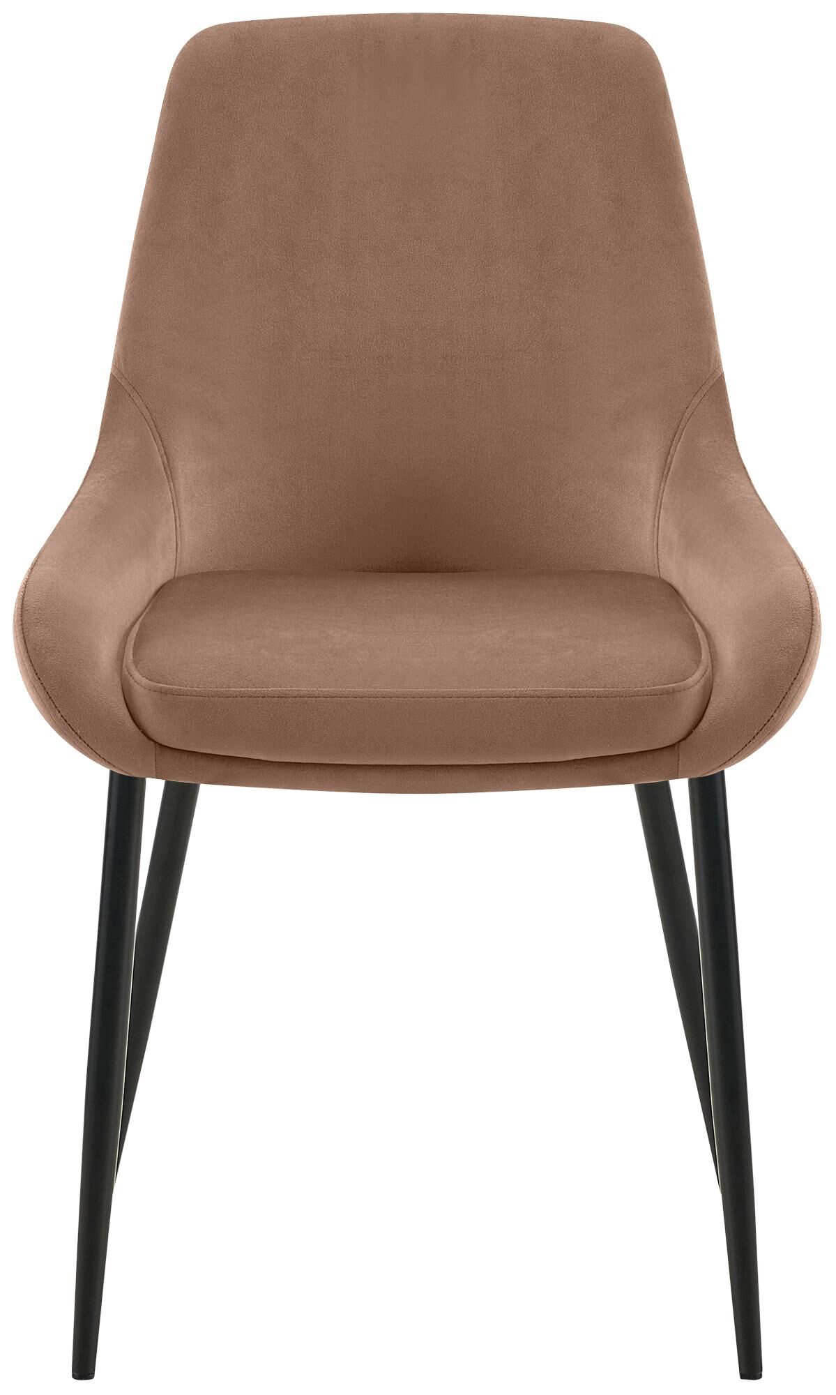 2er Set Esszimmerstuhl Elmira Samt schwarz, braun