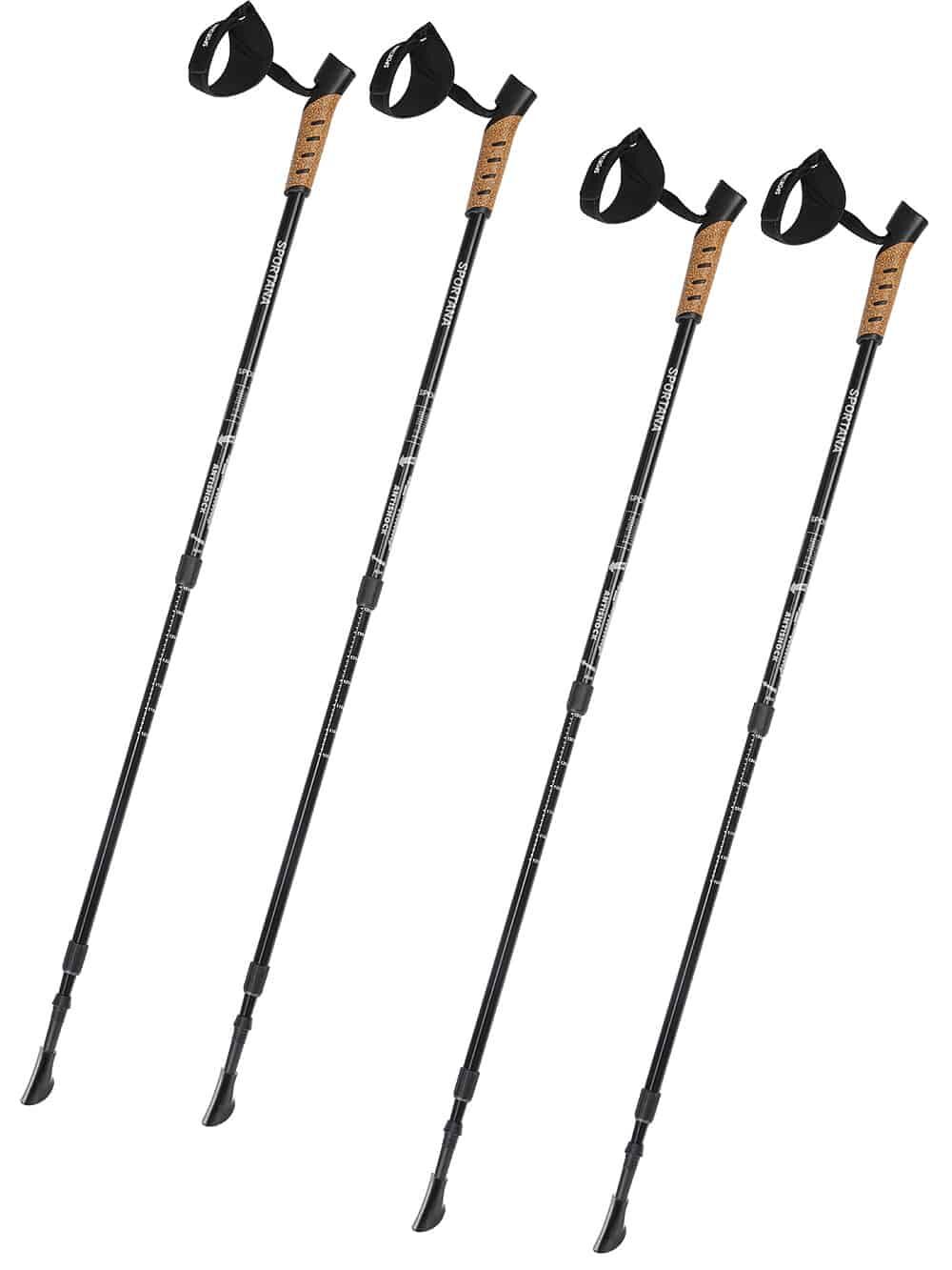 Nordic Walking Stöcke Grau