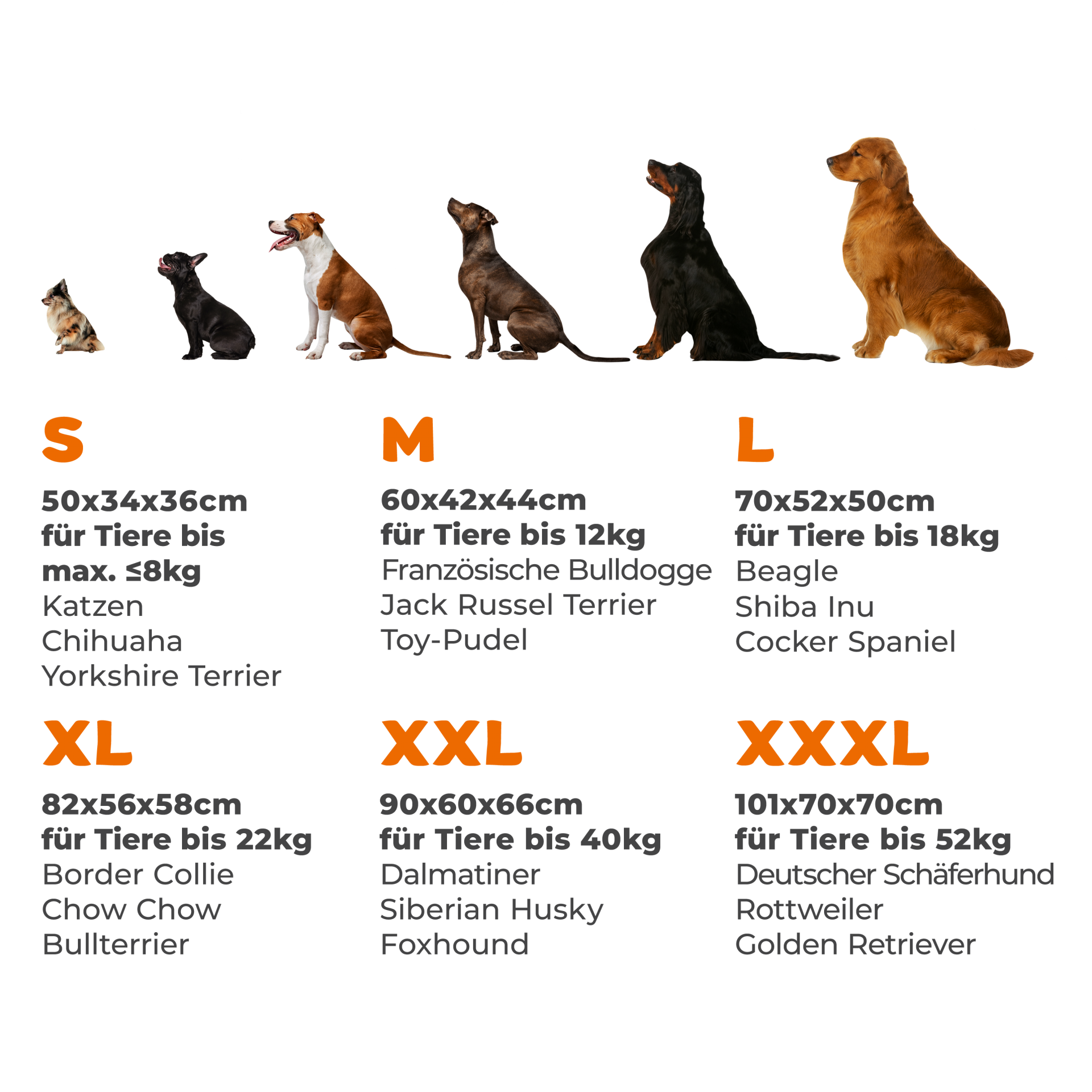 Hundebox faltbar S 50x34x36cm Anthrazit