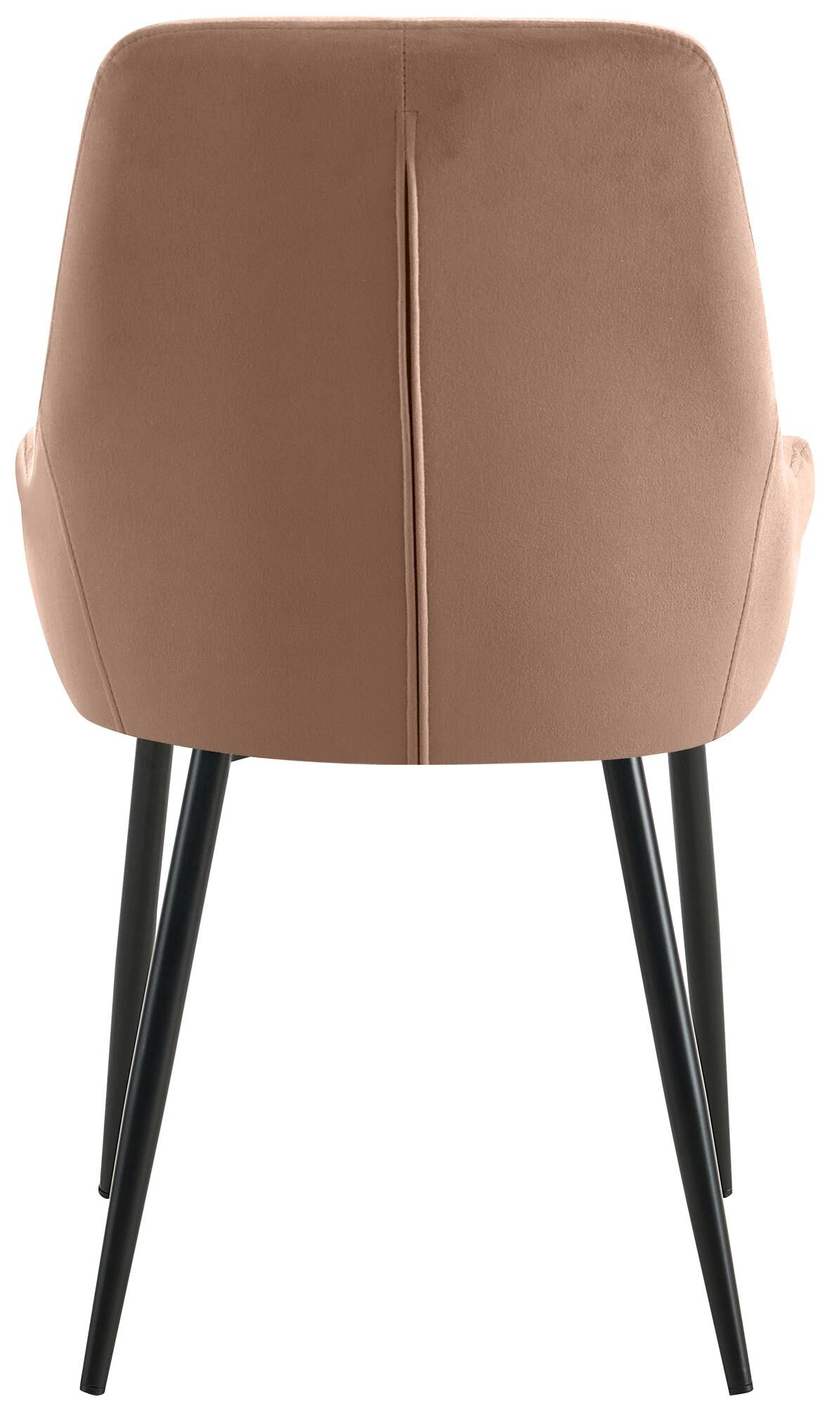 2er Set Esszimmerstuhl Elmira Samt schwarz, braun