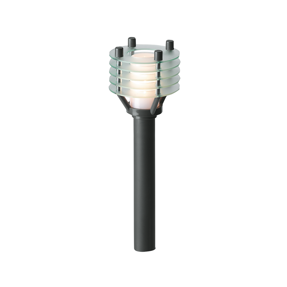 313586 Larix