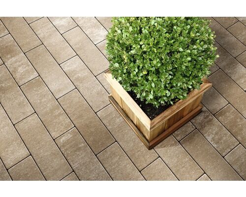 Pflasterstein Rechteckpflaster Crescendo 30x10x8 cm, Sahara-Weiß-Melange mit Microfase