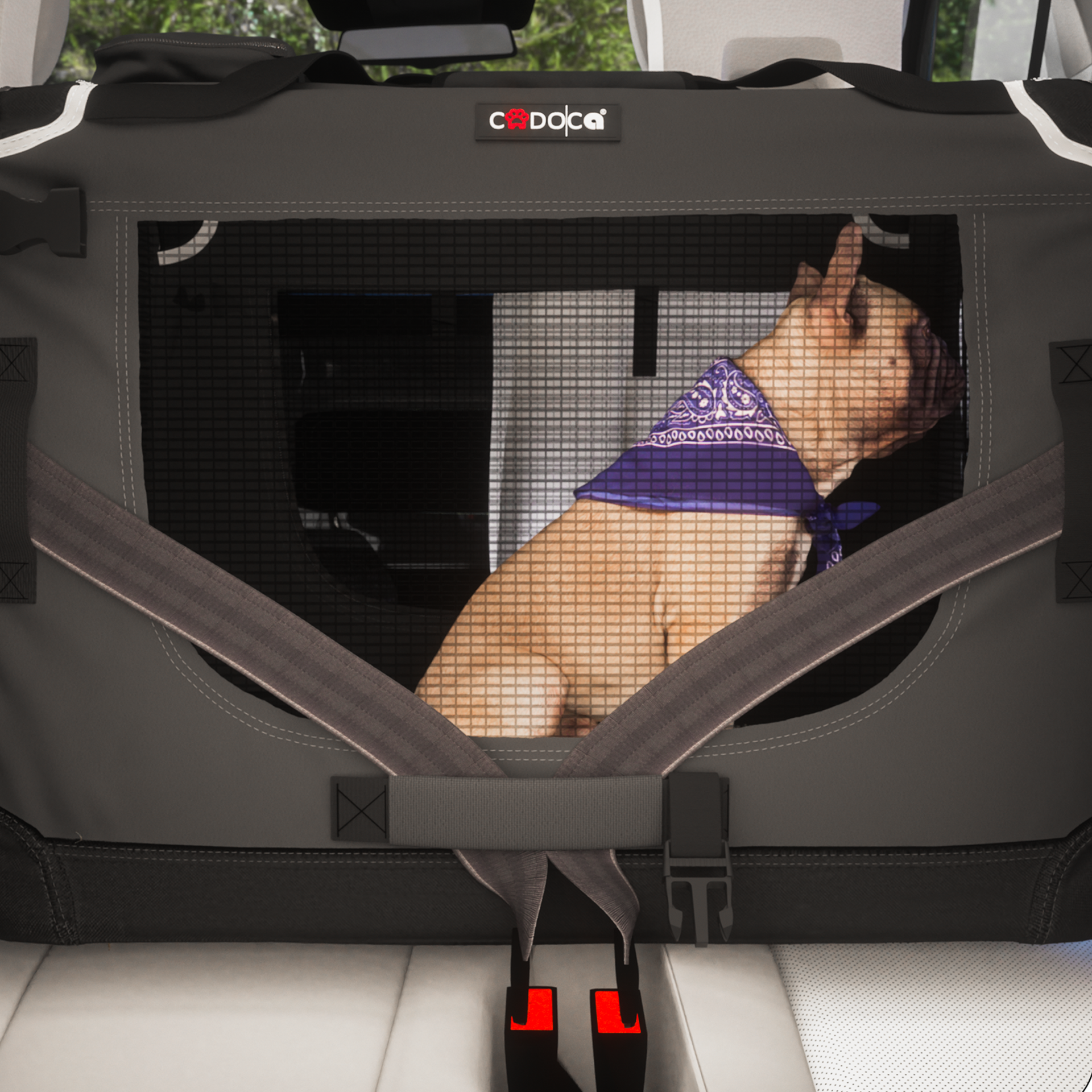 Hundebox faltbar S 50x34x36cm Anthrazit