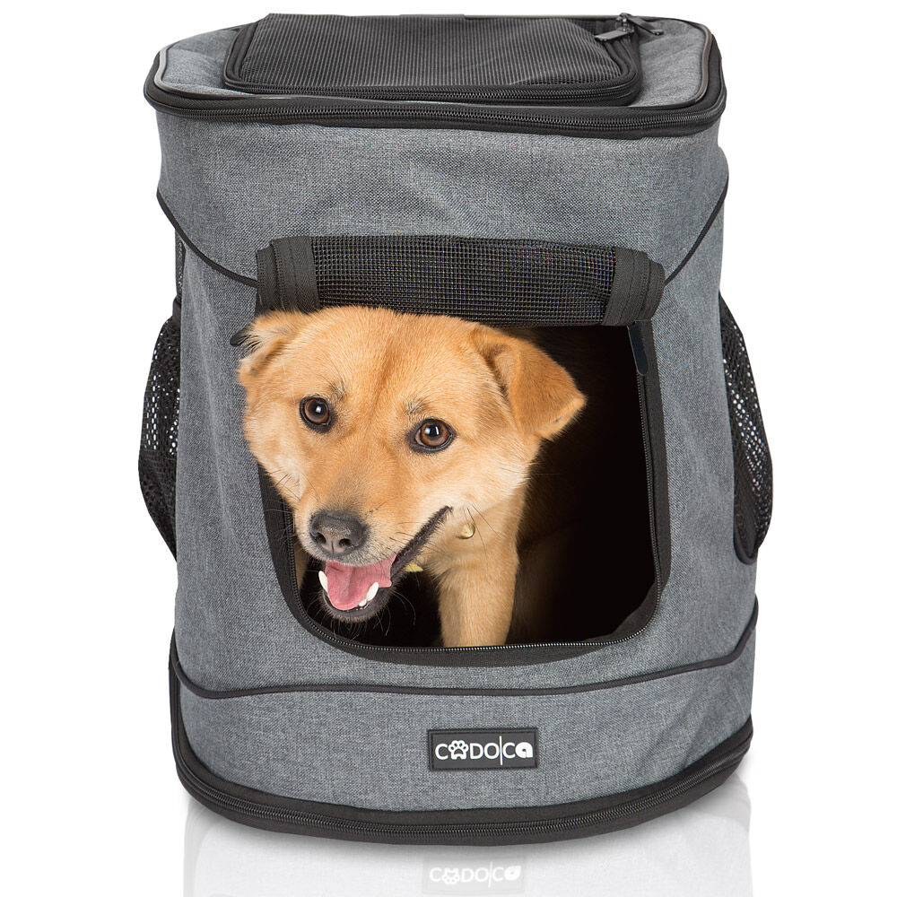 Katzenrucksack Grau 41x30x34cm