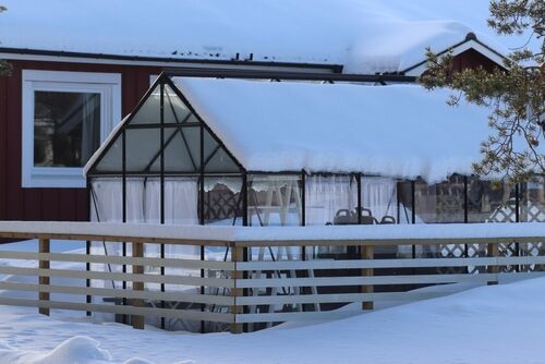 Unbeheiztes Gewächshaus im Winter nutzen: Überraschende Möglichkeiten für die kalte Jahreszeit