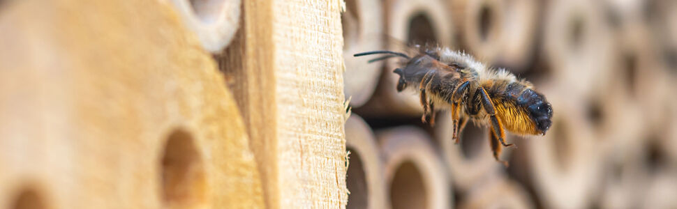Insektenhotel Nistkasten 30,5x9,5x31cm
