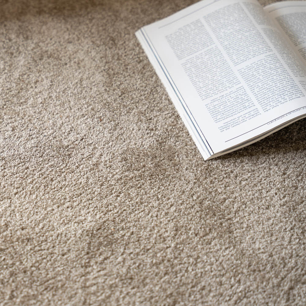 Kurzflor Teppich FOFI - 320 x 240 cm Creme