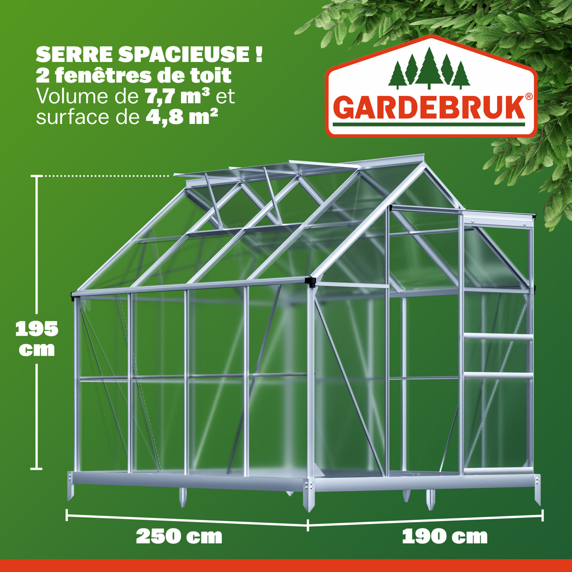 Alu Gewächshaus 250x190x195cm mit Fundament