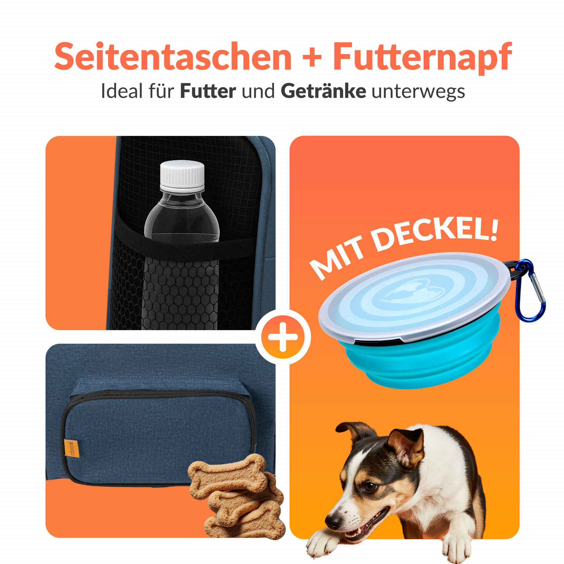 Katzentransportbox Blau 44x34x31cm bis 20kg