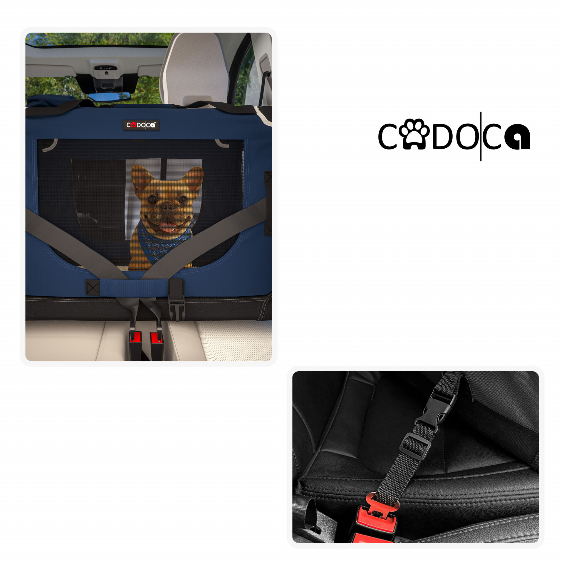Hundebox faltbar XL 82x58x58cm Blau