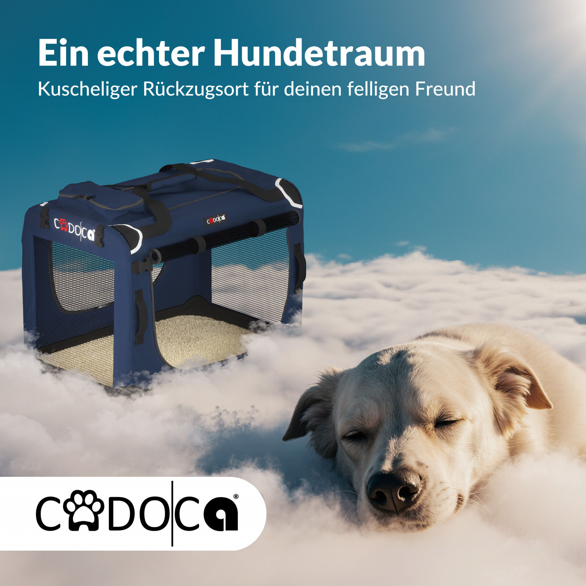 Hundebox faltbar M 60x42x44cm Blau